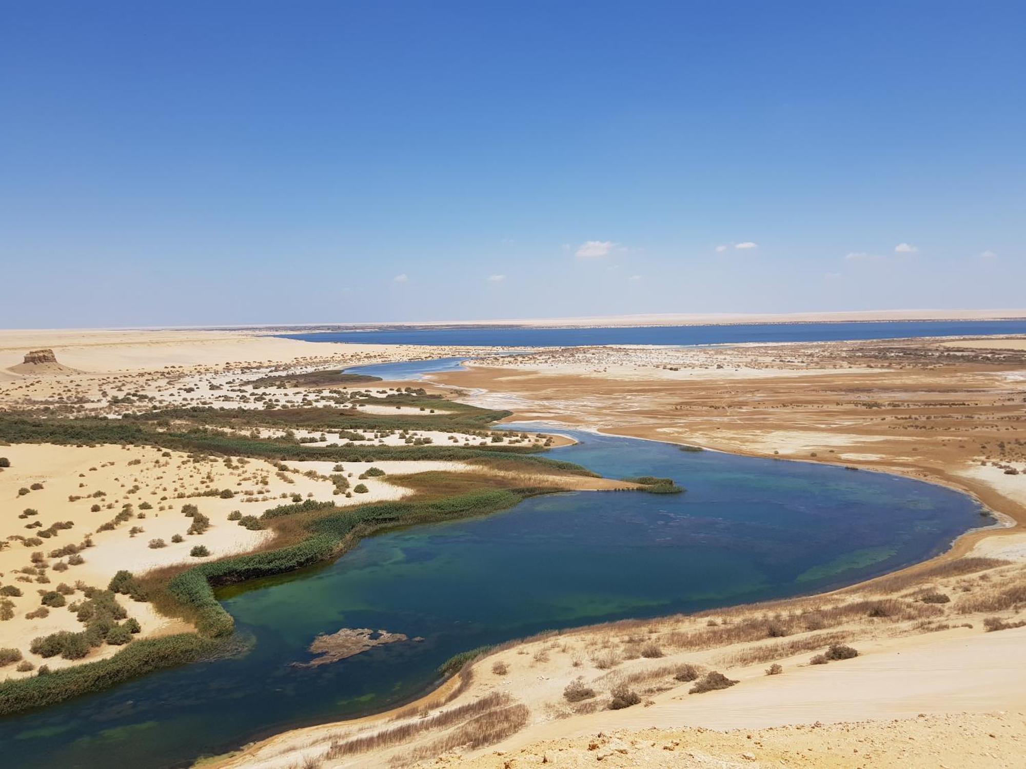 Maged Pyramids View Inn Kafret el-Gabal Extérieur photo