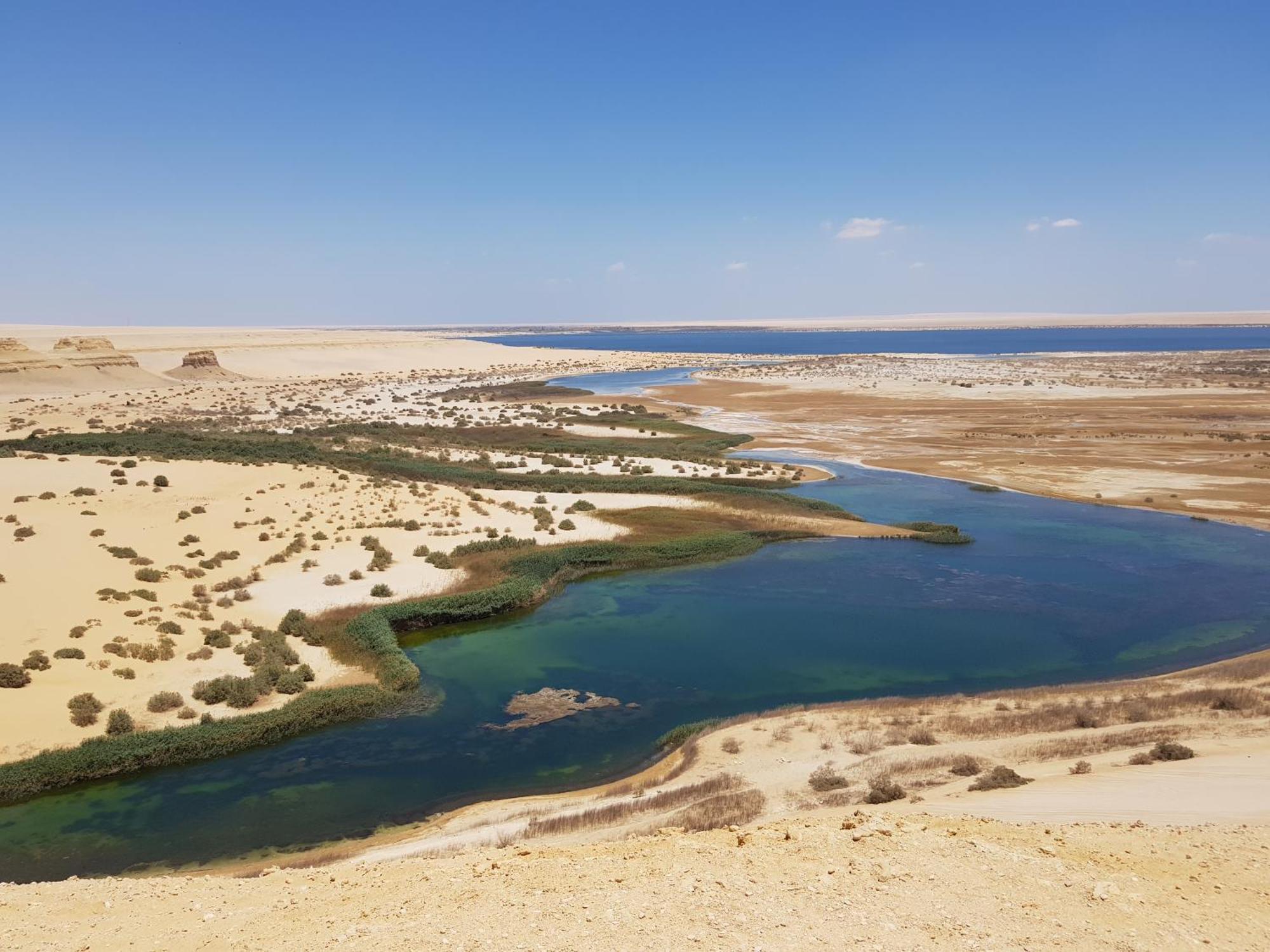 Maged Pyramids View Inn Kafret el-Gabal Extérieur photo